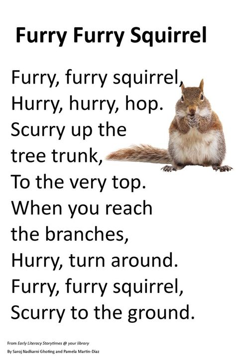 Squirrel Poem- UBAMjen Preschool Rhymes, Scaredy Squirrel, Preschool Poems, Grandkids Quotes, Forest Animals Theme, Voice Lessons, Circle Time Songs, Childrens Poems, Kindergarten Songs