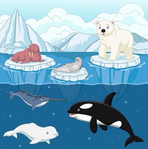 North Pole Animals, Urs Polar, Polar Animals, Architecture Art Design, Arctic Animals, Marine Mammals, Baby Giraffe, North Pole, Sea Animals