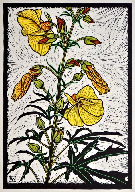 Linocuts of Australian Native Flowers — Rachel Newling Rachel Newling, Cooktown Orchid, Wild Hibiscus, Printmaking Inspiration, Experiment 626, Woodcut Art, Linocut Printmaking, Australian Flowers, Australian Native Flowers