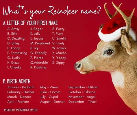 Christmas Name Generator, Attendance Questions, Funny Name Generator, Interactive Questions, Avon Ideas, Scentsy Christmas, Facebook Party Games, Facebook Group Games, Interaction Posts