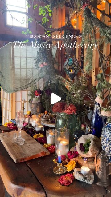 The Mossy Apothecary (WE WILL NEVER DM YOU + SOLICIT A READING) on Instagram: "✨You bring your loved ones + we’ll bring the magic! • birthdays picnic parties DIY crafts bachelorettes + more!  • #diy #wonderland #fairyhouse #lostinwonderland #qualitytime #magicalplaces #bacheloretteparty #birthdaypartyideas #westernmass #berkshiresma #salemma #witchy #spookyseason #witchhouse #cottagecoreaesthetic #fairycore" Fairycore Party, Picnic Parties, Salem Ma, Cottage Core Aesthetic, Witch House, Picnic Party, Fairy House, Magical Places, Diy Party