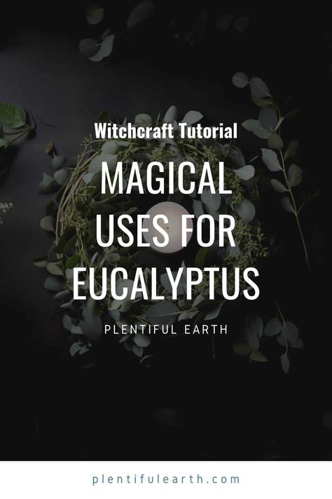 Wiccan Crafts, Dried Eucalyptus, Kitchen Witchery, Magic Words, Spiritual Meaning, Spiritual Practices, Meant To Be, Spirituality, Herbs