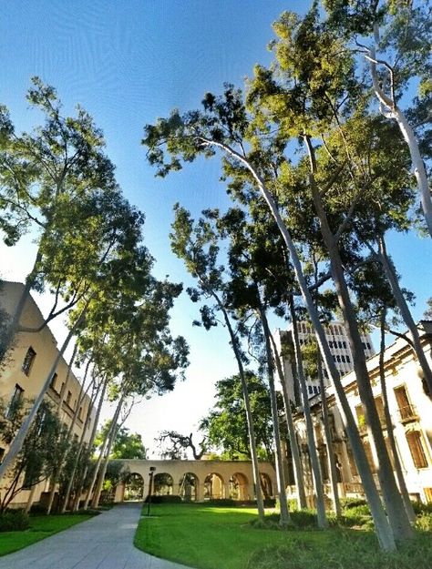 California institute of technology (Caltech) California Institute Of The Arts, Caltech Aesthetic, Caltech University, California Institute Of Technology, College Board, I Love La, Dream College, Vintage California, Dream School