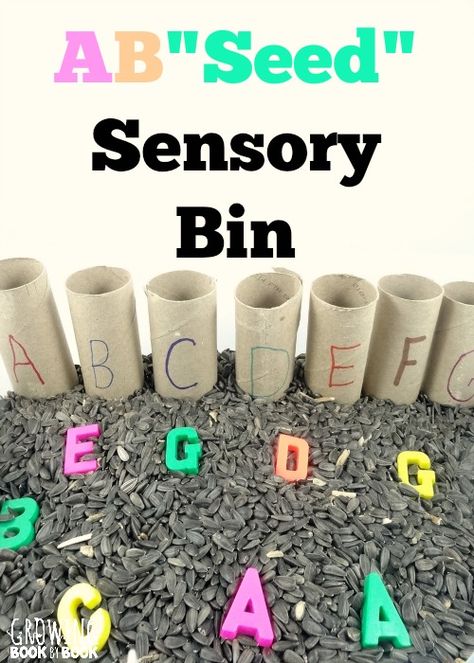 Hands-on alphabet activities are a perfect way for toddlers and preschoolers to learn their letters. This seed sensory bin is a fun way to practice. C Sensory Bin, Seed Sensory Bin, Magnet Letters, Letter Learning, Preschool Sensory, Sensory Tubs, Sensory Learning, Write Letters, Abc Activities