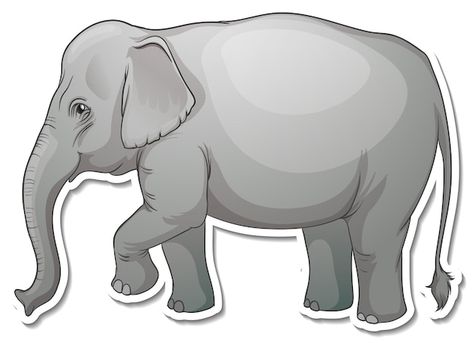 Elephant Cartoon Images, Elephant Vector Illustration, Elephant Vector, Crocodile Cartoon, Elephant Clip Art, Elephant Cartoon, Illustration For Kids, Wild Animals Photography, Elephant Stickers