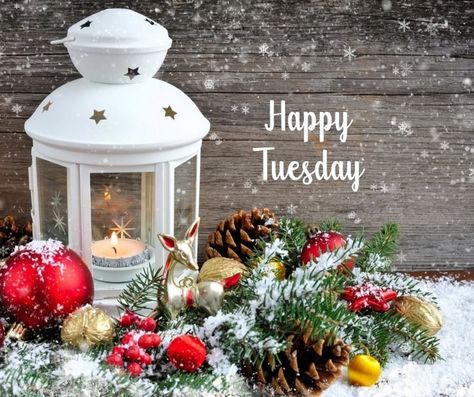 Happy Tuesday Winter Images, Happy Tuesday Fall, Happy Tuesday Christmas, Tuesday Christmas, Happy Tuesday Morning, December Images, Interaction Posts, Tuesday Quotes Good Morning, Tuesday Greetings