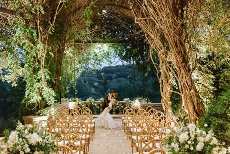 Photography- Sarah Moser #nashvilleweddings #weddingvenue #gardenwedding #nashvillevenue #outdoorwedding #weddinginspo Cheekwood Wisteria Arbor, Wisteria Arbor Cheekwood Wedding, Cheekwood Wedding Nashville, Weddings Vibes, Wedding Theme Board, Pictures Of Dresses, Cheekwood Wedding, Wisteria Arbor, Willow Tree Wedding