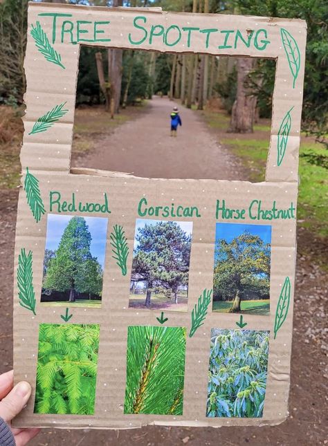 Nature School Projects, Forest Lesson Plan, Nature Classroom Activities, Nature In The Classroom, Forest School Ideas Outdoor Play, Forest School Crafts For Kids, Nature School Curriculum, Preschool Nature Art, Forest Kindergarten Activities