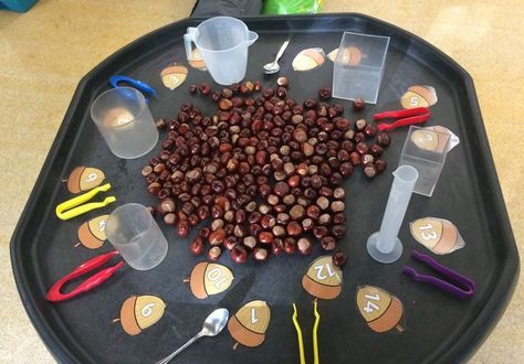 Autumn Term Eyfs, Conkers Tuff Tray, Conkers Activity Eyfs, Autumnal Activities Eyfs, Conker Tuff Tray Ideas, Outdoor Tuff Tray Ideas Eyfs Autumn, Autumn Investigation Area Eyfs, Autumn Maths Activities Eyfs, Autumn Provision Eyfs