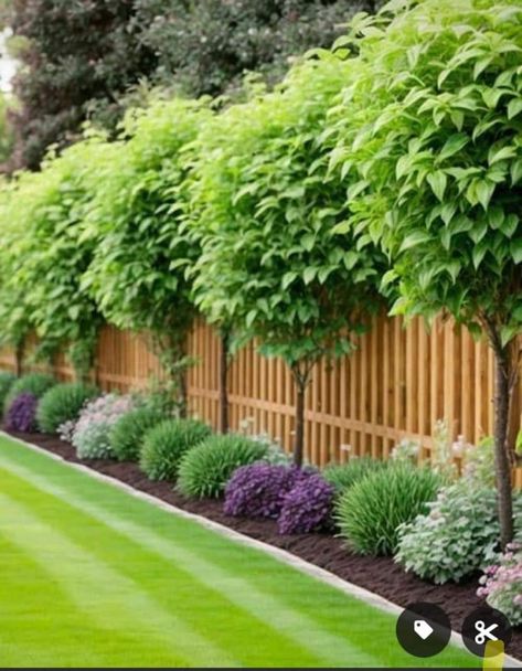 Small Yard Lighting Ideas, Plants On Fence Ideas, Fence Landscape Ideas, Landscaping Privacy Ideas, Backyard Landscaping Along Fence, Fence Gardens, Fence Gardening, Paint Fence, Painting Fence