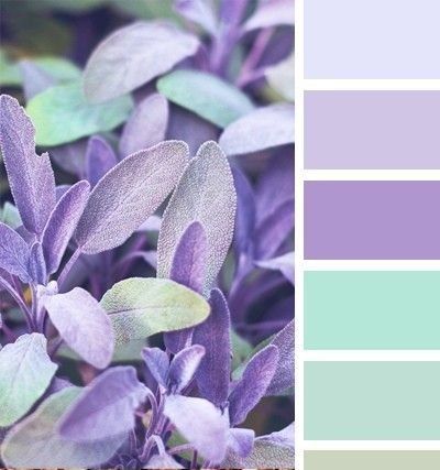 Purple And Green Branding Board, Lavender And Mint Color Palette, Bedroom Green And Purple, Mint Green Color Combinations, Purple And Green Color Palette, Mint Color Palettes, Lavender Color Palette, Purple Color Palettes, Color Design Inspiration