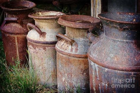 Antique Milk Can Old Metal Milk Can Ideas, Milk Can Ideas, Milk Can Decor, Antique Milk Can, Can Ideas, Old Milk Cans, Dutch Farms, Ordinary Objects, Farm Scenes