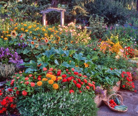 Compact Gardening, Permaculture Garden, Edible Landscape, Edible Gardening, Edible Gardens, Uc Davis, Potager Garden, Edible Landscaping, Veg Garden