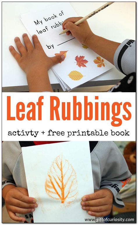 Leaf rubbings activity + free printable book. I love how this combines science and fine motor skills development for preschoolers and kids! || Gift of Curiosity Leaf Rubbing, Leaf Rubbings, Fall Science, Fall Lessons, Tree Study, Preschool Projects, Fall Kindergarten, Fine Motor Skills Development, Autumn Activities For Kids