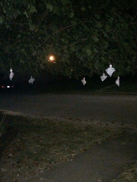 Tree ghosts Ghosts Hanging From Tree, Tree Ghosts, Ghost, Halloween