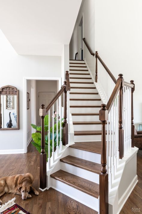 New House Goals: One Year Update - The Navage Patch Painting Stair Risers, New House Goals, Staining Stairs, Stained Staircase, Stairs Painted, Painted Stair Risers, Painted Stair Railings, Railing Makeover, Painted Staircase