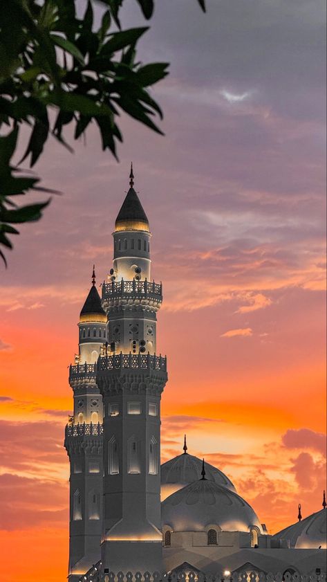 Masjid Quba, Bow Cakes, Ronaldo Cristiano, Tiger Pictures, Islamic Calligraphy Painting, Mecca Wallpaper, Powerpuff Girl, Beautiful Mosques, Phone Wallpaper For Men