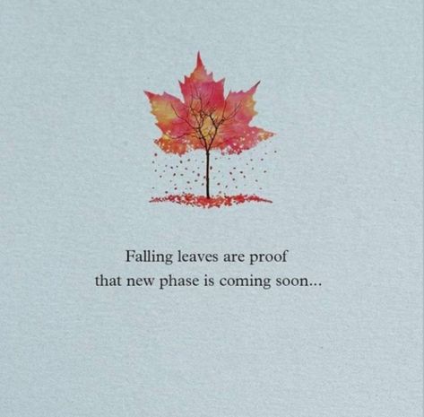 Fallen Leaves Quotes, Creative Snapchats, Leaf Quotes, Cheer Up Quotes, Season Quotes, Society Quotes, Bts Song Lyrics, Flower Meanings, Symbols And Meanings