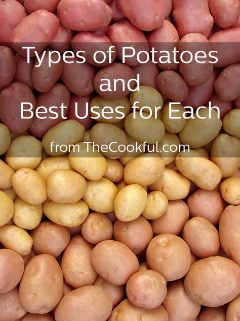 Just how many types of potatoes are there? We're covering the different types of potatoes out there so you can choose the right potato with confidence. via @thecookful Potato Types, Potato Varieties, Types Of Potatoes, Potato Dishes, Food Facts, Fruits And Veggies, Side Dish Recipes, Amazing Food, How To Cook Chicken