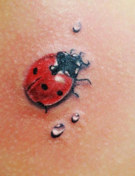 Ladybird Tattoo, Natur Tattoo Arm, Ladybug Tattoo, Lady Bug Tattoo, Bug Tattoo, Insect Tattoo, Tattoo Henna, Tasteful Tattoos, Geniale Tattoos