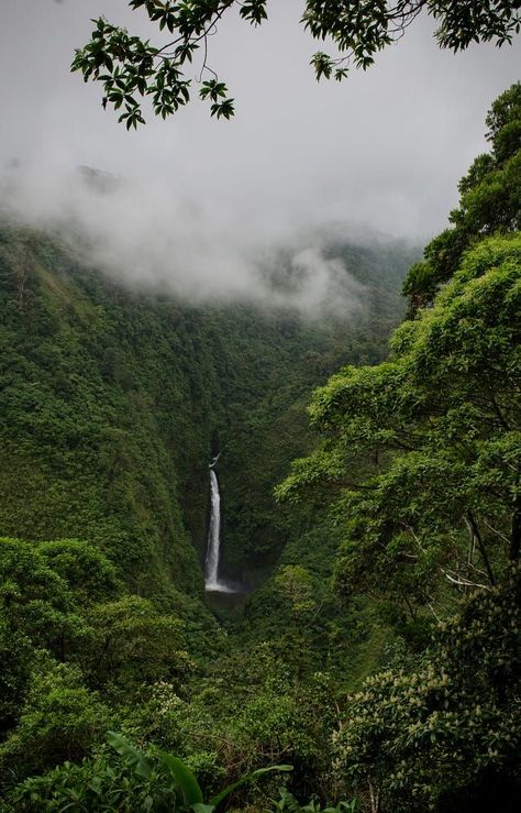 Cool Scenery, Costa Rica Aesthetic, Rica Aesthetic, Aesthetic Waterfall, Costa Rica Waterfall, Waterfall Aesthetic, Photography Inspiration Nature, Scenery Photography, Get Outdoors