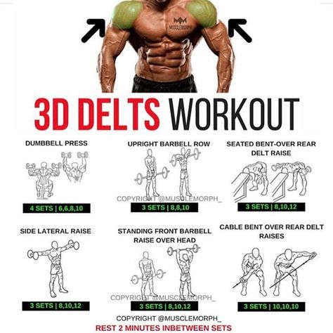 Delts Workout, Best Shoulder Workout, Shoulder Training, Shoulder Exercises, Muscle Abdominal, Shoulder Day, Weight Training Workouts, Workout Chart, Chest Workouts