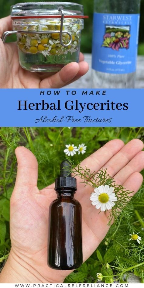 Herbal Glycerites, Diy Tinctures, Herbalism Recipes, Herbalism For Beginners, Tinctures Herbal, Benefits Of Herbs, Medicinal Herbs Remedies, Herbal Vinegar, Herb Tinctures