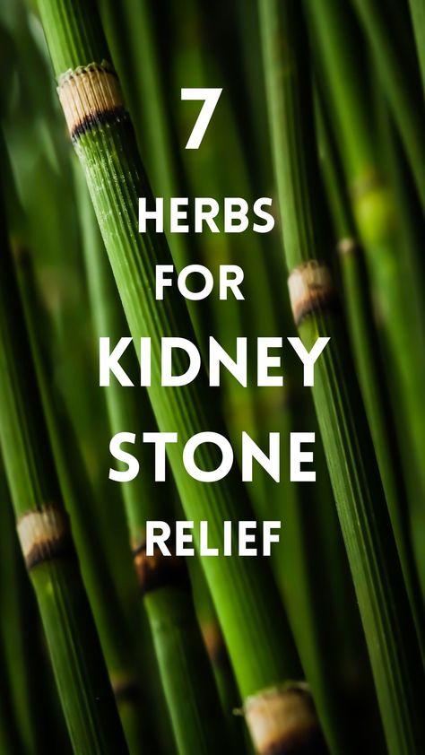 Explore these natural remedies for kidney stones and bid farewell to discomfort. Find out how to alleviate pain and promote kidney health. #KidneyStoneRemedies #NaturalHealing #HolisticHealth #HomeRemedies #WellnessJourney Kidney Pain Remedies, Kidney Stone Relief, Kidney Stone Pain Relief, Kidney Pain, Kidney Stone, Classy Business Outfits, Kidney Health, Viral Shorts, Foods To Eat