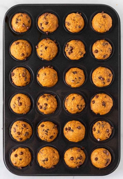 Mini Pumpkin Chocolate Chip Muffins - Build Your Bite Pumpkin Chocolate Chip Mini Muffins, Mini Pumpkin Chocolate Chip Muffins, Pumpkin Muffins With Chocolate Chips, Pumpkin Mini Muffins, Pumpkin Cake Mix Muffins, Pumpkin Cake Mix, Muffins With Chocolate Chips, Mini Pumpkin Muffins, Mini Blueberry Muffins