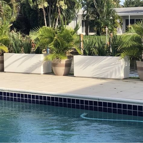 Planters By The Pool, Outdoor Planters Near Pool, Ideas For Planters, Blue Planters By Pool, Tropical Planters By Pool, Boho Beachy Decor, Pool Landscaping Pots & Planters, Planters Around Pool, Pool Privacy