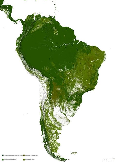 Forests of South America Climate Map, Sequoia Sempervirens, Forest Map, Tropic Of Capricorn, South America Map, Imaginary Maps, Asia Map, Amazing Maps, Boreal Forest