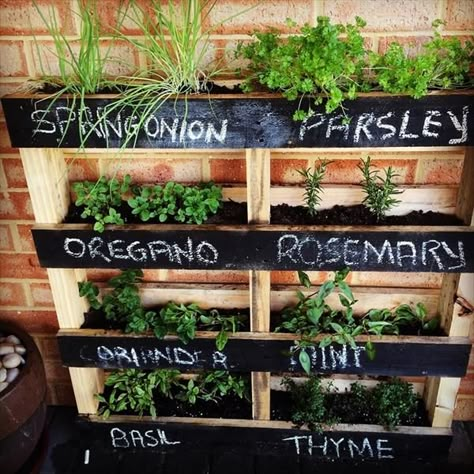 Garden Pallet Decorations, Vertical Herb Gardens, Vertical Pallet Garden, Herb Garden Pallet, Garden Pallet, Diy Herb Garden, Herb Garden Design, Vertical Herb Garden, Vertical Garden Diy