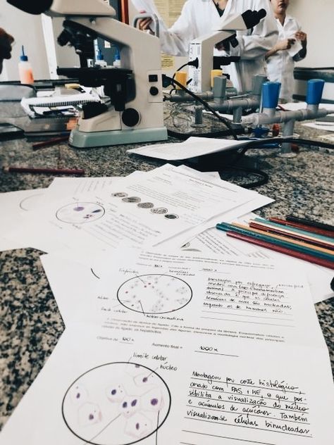 The Love Hypothesis Aesthetic, Love Hypothesis Aesthetic, Internal Medicine Doctor, Biology Lab, The Love Hypothesis, Love Hypothesis, Medical School Life, Biology Labs, Med School Motivation