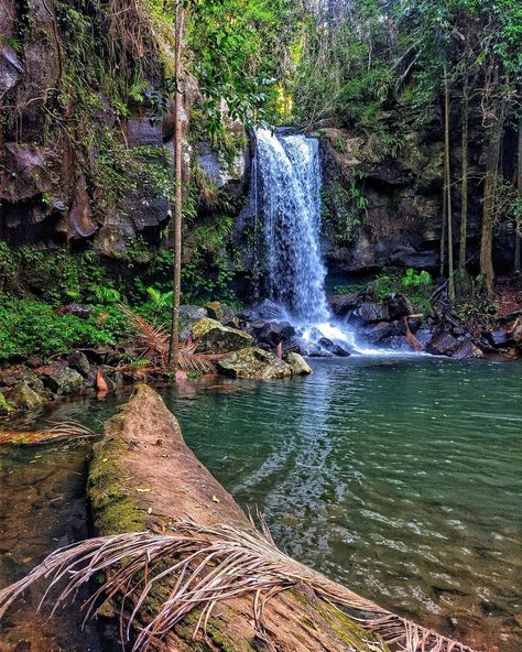 Mt Tamborine Mt Tamborine Australia, Mt Tamborine, Australia Travel, Drive, Australia, Water, Travel