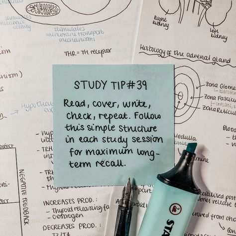 School Good Grades, Active Recall, Top Student, Studying Tips, Study Stuff, Big Brain, Exam Study Tips, Best Study Tips, Study Tips For Students