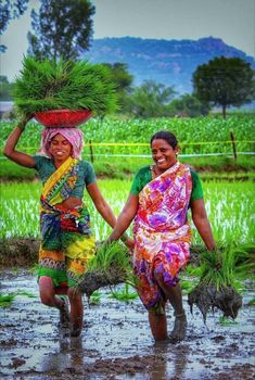 India Village Photography, Farmer Images India, Actor And Actress, Village Girls, Bangladesh Travel, Paddy Field, Village Women, Kerala Backwaters, Female Farmer