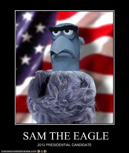 SAM the Eagle 2012 Presidential Candidate Fourth Of July Meme, 4th Of July Meme, 4th Of July Clipart, 4th Of July Images, July Images, Funny 4th Of July, Fraggle Rock, The Muppet Show, The Muppets