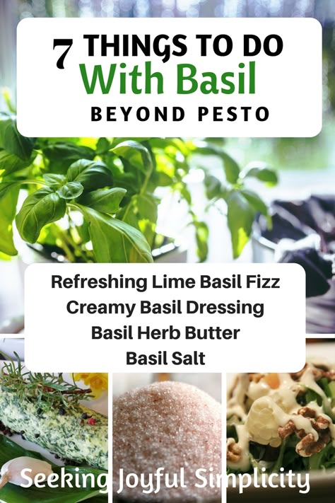 Basil Vinegar, Creamy Basil Dressing, Fresh Basil Recipes, Fresh Herb Recipes, Basil Herb, Preserving Herbs, Basil Recipes, Lime Basil, Herb Recipes