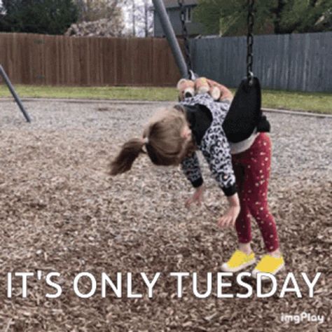 Only Tuesday Humor, Tuesday Gif, Tuesday Funny, Its Only Tuesday, It's Tuesday, Meme Gif, Psychology Jokes, Tuesday Humor, Student Goals