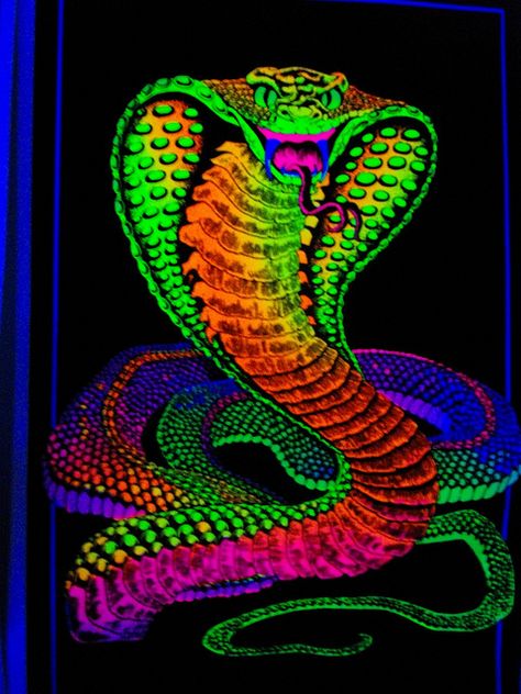 cobra | Flickr - Photo Sharing! Blacklight Posters, Cobra Art, Black Light Posters, Sticker Printing, Uv Black Light, Stickers Design, Snake Art, Label Stickers, Poster Colour