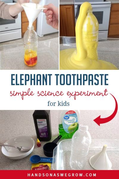 Elephant Toothpaste Experiment, Elephant Toothpaste, Science Experiment For Kids, Experiment For Kids, Science Week, Summer Science, Science Experiments For Preschoolers, Science Birthday, Simple Science