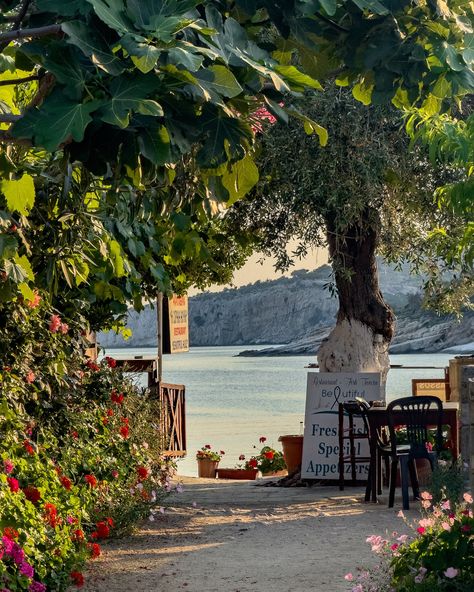 I don't think I can ever get tired of these pretty Mediterranean views. What about you? 🇬🇷💙 #greece #greekvacation #greekislands #mediterranean #mediterraneo #localwithme #thasos #thasosisland #picturesque #travelwithme #slowmoments #zornitsaivova #aliki #thasosgreece #summervibes #europeansummer Thasos Greece, Mediterranean City, Greek Vacation, Thasos, Second Chances, Wallpapers Backgrounds, European Summer, Greek Islands, Summer Vibes