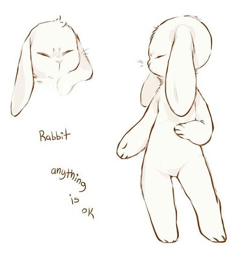 Master Drawings, Bunny Drawing, Bunny Art, Anime Drawings Tutorials, Art Tutorials Drawing, Drawing Base, Drawing Reference Poses, Art Inspiration Drawing, A Drawing