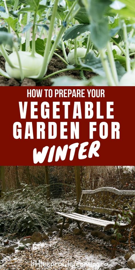 How to Prepare Your Vegetable Garden for Winter Garden Winter Prep, Vegetable Garden Soil, Garden Prep, Growing Winter Vegetables, Garden Preparation, Homesteading Tips, Garden Winter, Garden Prepping, Winter Vegetables Gardening