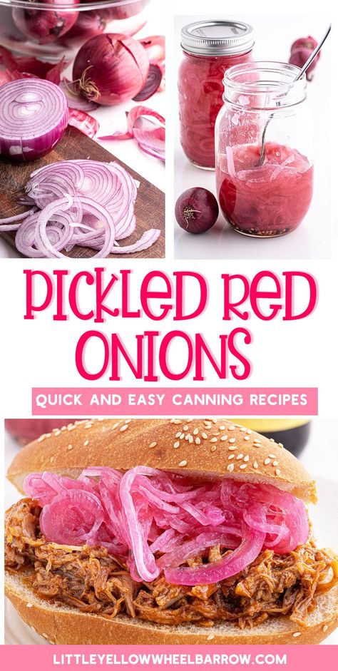 Canning Red Onions, Picked Red Onions, Pickled Red Onions Recipe, Red Onion Recipes, Quick Pickled Red Onions, Easy Canning, Pressure Canning Recipes, Quick Pickled Onions, Quick Pickled