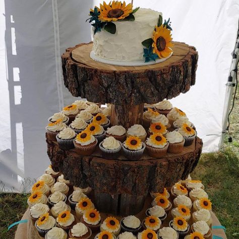 Wedding Cupcake Designs Rustic, Sunflower Cake And Cupcakes, Country Wedding With Sunflowers, Rustic Cupcakes Wedding, Sunflower Wedding Theme Rustic, Rustic Sunflower Wedding Cake, Rustic Sunflower Wedding Decor, Sunflower Wedding Cakes, Rustic Wedding Cake And Cupcakes