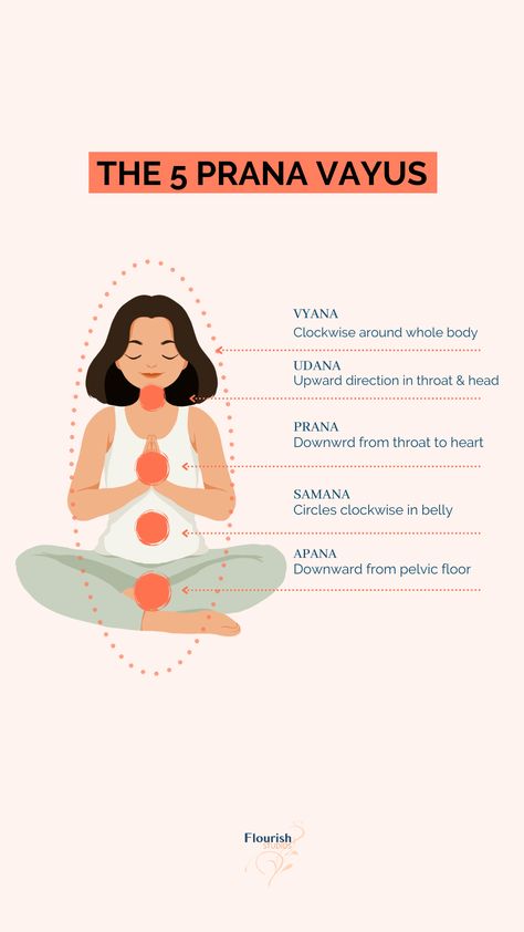 You’ve probably heard about prana and the energy body. But how does it really work and how does it relate to yoga? In this post, we are going to demystify energetic yoga, teach you all you need to know about prana from the yoga tradition and share how you can influence your energetic system with yoga, pranayama and meditation. #energy #prana #yinyoga #yoga Yoga Terms, Prana Yoga, Jnana Yoga, Yoga Sequence For Beginners, Yin Yoga Class, Energy Yoga, Yoga Sutras, Different Types Of Yoga, Yoga Philosophy