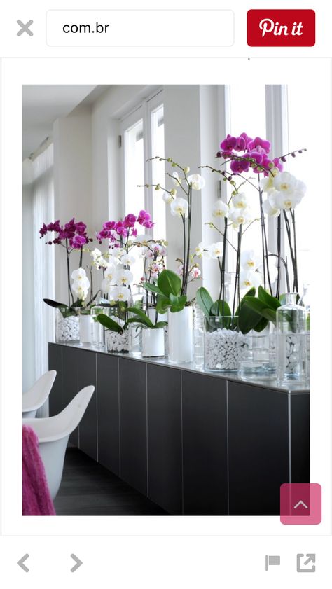 Growing Ginger Indoors, Common House Plants, Orchid Flower Arrangements, Plant Containers, Types Of Orchids, نباتات منزلية, Growing Orchids, Orchids Garden, Orchid Arrangements