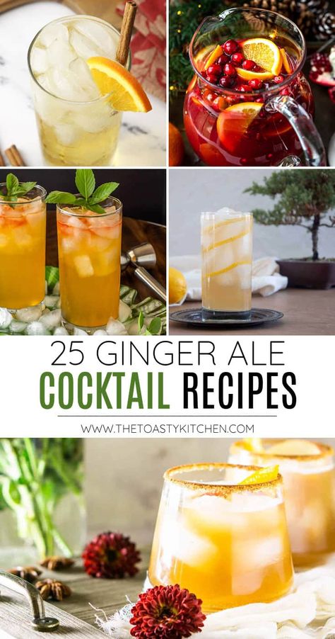 Alcoholic Drinks With Ginger Ale, Ginger Ale Mixed Drinks, Men Drinks, Ginger Cocktail Recipes, Whiskey And Ginger Ale, Ginger Ale Drinks, Ginger Beer Drinks, Ginger Ale Cocktail, Recipe With Ginger