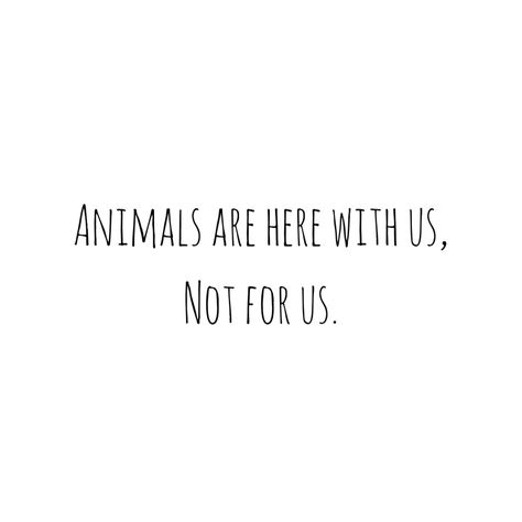 Animal Rights Aesthetic, Vegan Aesthetic Animals, Red Mcarthur, Vegan Philosophy, Veggie Quotes, Being Vegetarian Quotes, Vegetarian Aesthetic, Animal Rights Tattoo, Save Animals Quotes